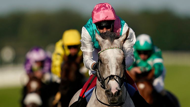 Logician - heading to Sky Bet Great Voltigeur Stakes