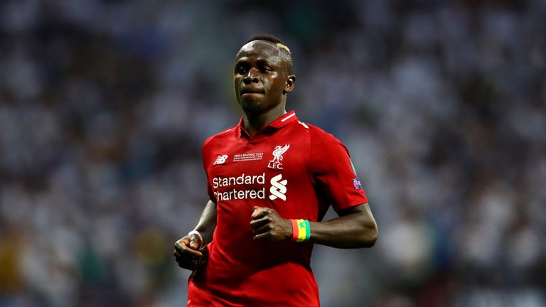 Image result for mane
