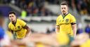 Foley to join Kubota Spears after RWC