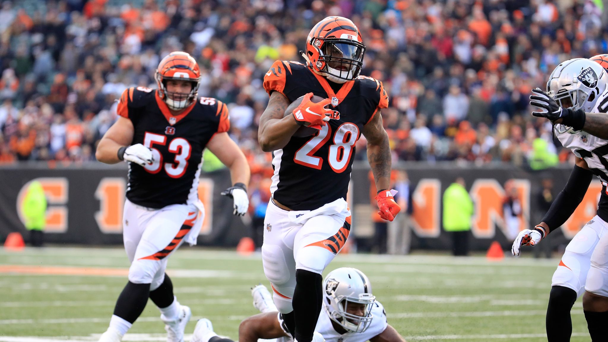 AFC North rivals Baltimore Ravens @ Cincinnati Bengals on Sky Sports, NFL  News