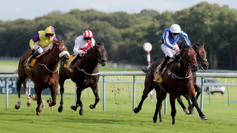 Hello Youzmain - winning at Haydock