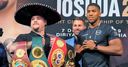 Ruiz-Joshua: Neutral terms explained