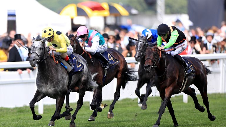 Nagano Gold (right)
