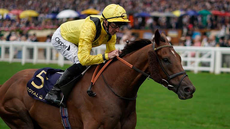Addeybb, pictured here winning at Royal Ascot, heads the field for the Champion Stakes at Ascot