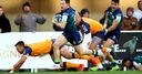 Montpellier hold off Connacht