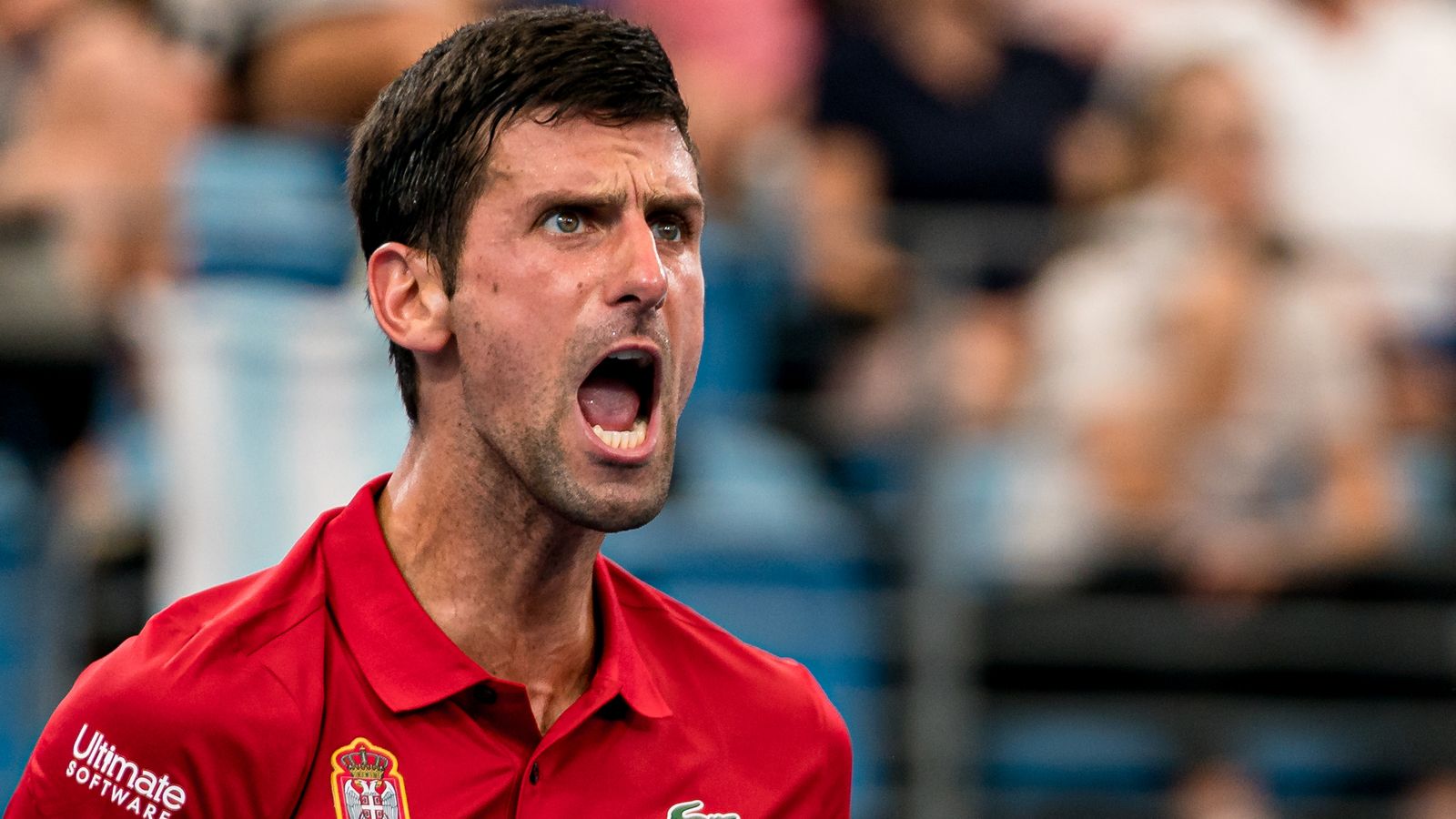 ATP Cup: Novak Djokovic helped Serbia reach the semi-finals | Tennis