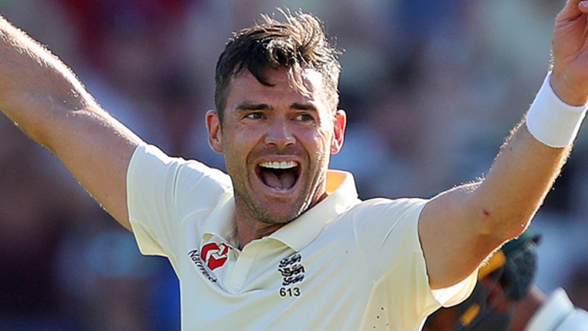 Steyn: Anderson more skilful than me