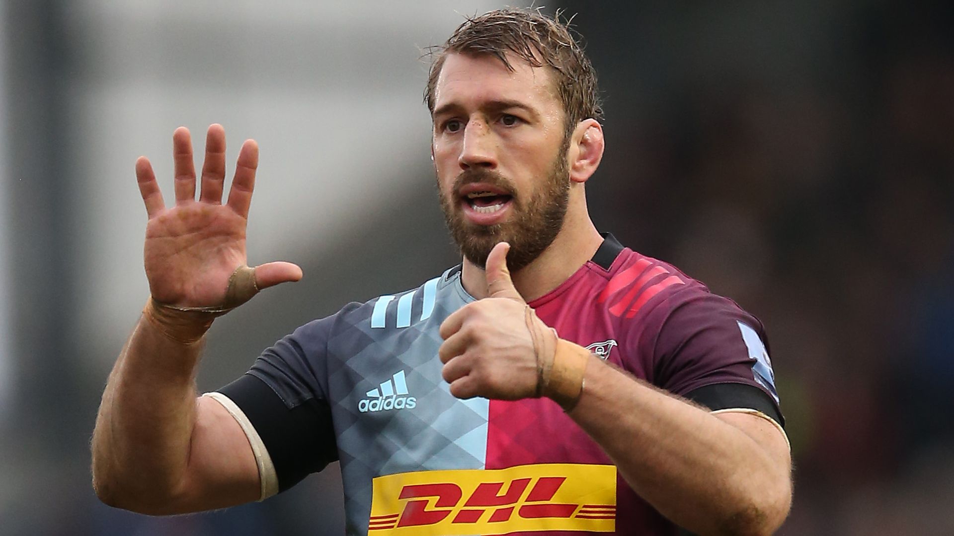 Robshaw backs RFU review of Swing Low