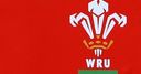 WRU promise financial support for clubs
