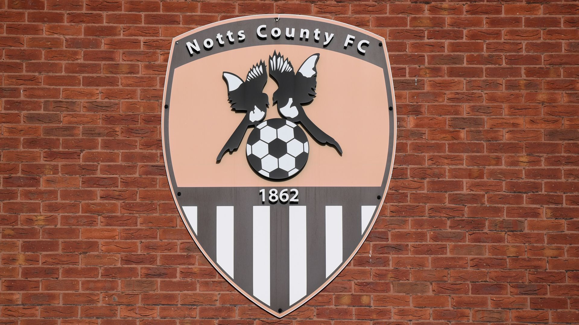 Notts County pull out of FA Cup over positive tests