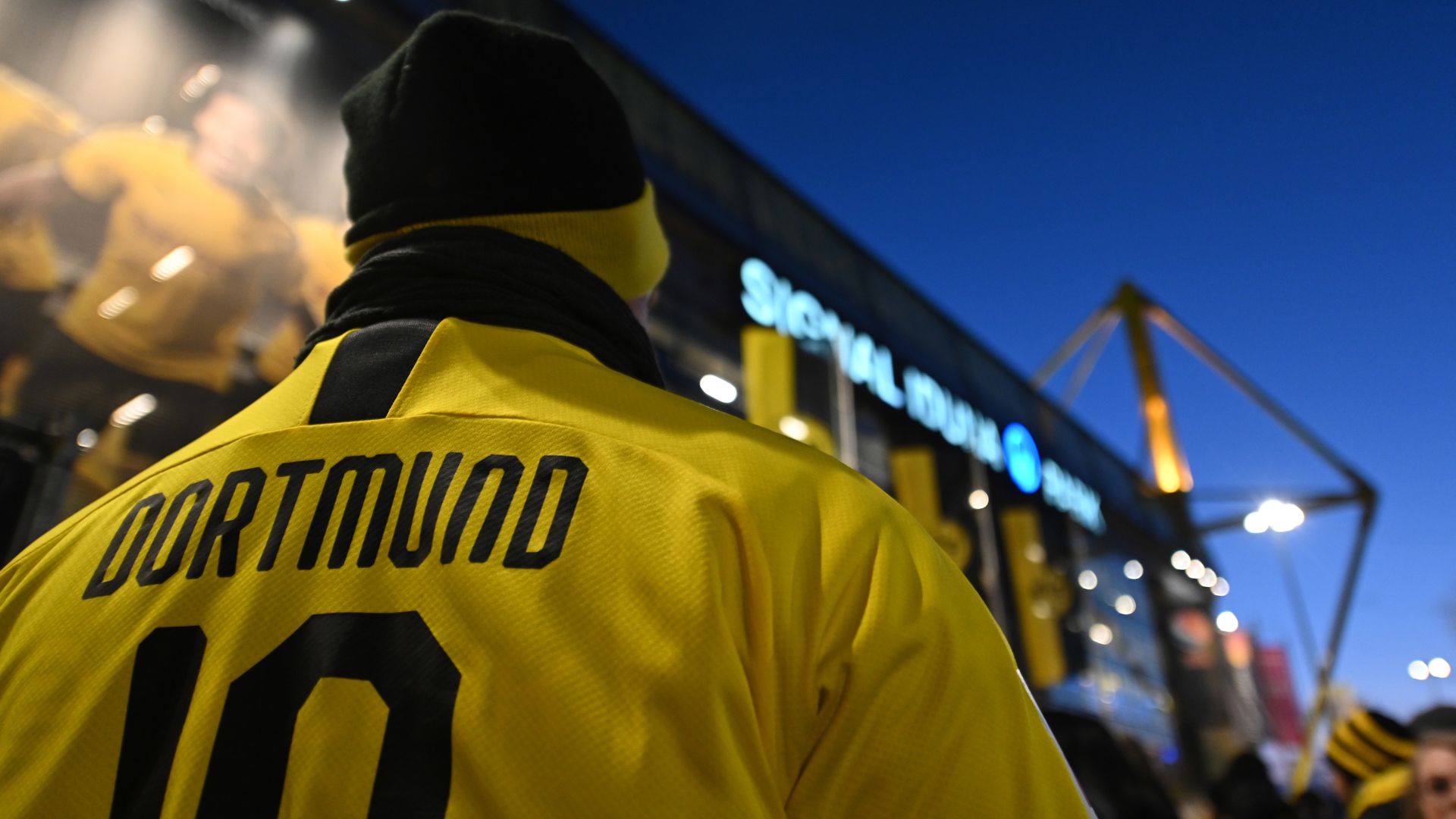 'German fans can prove resumption not a mistake'
