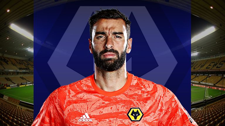 Wolves