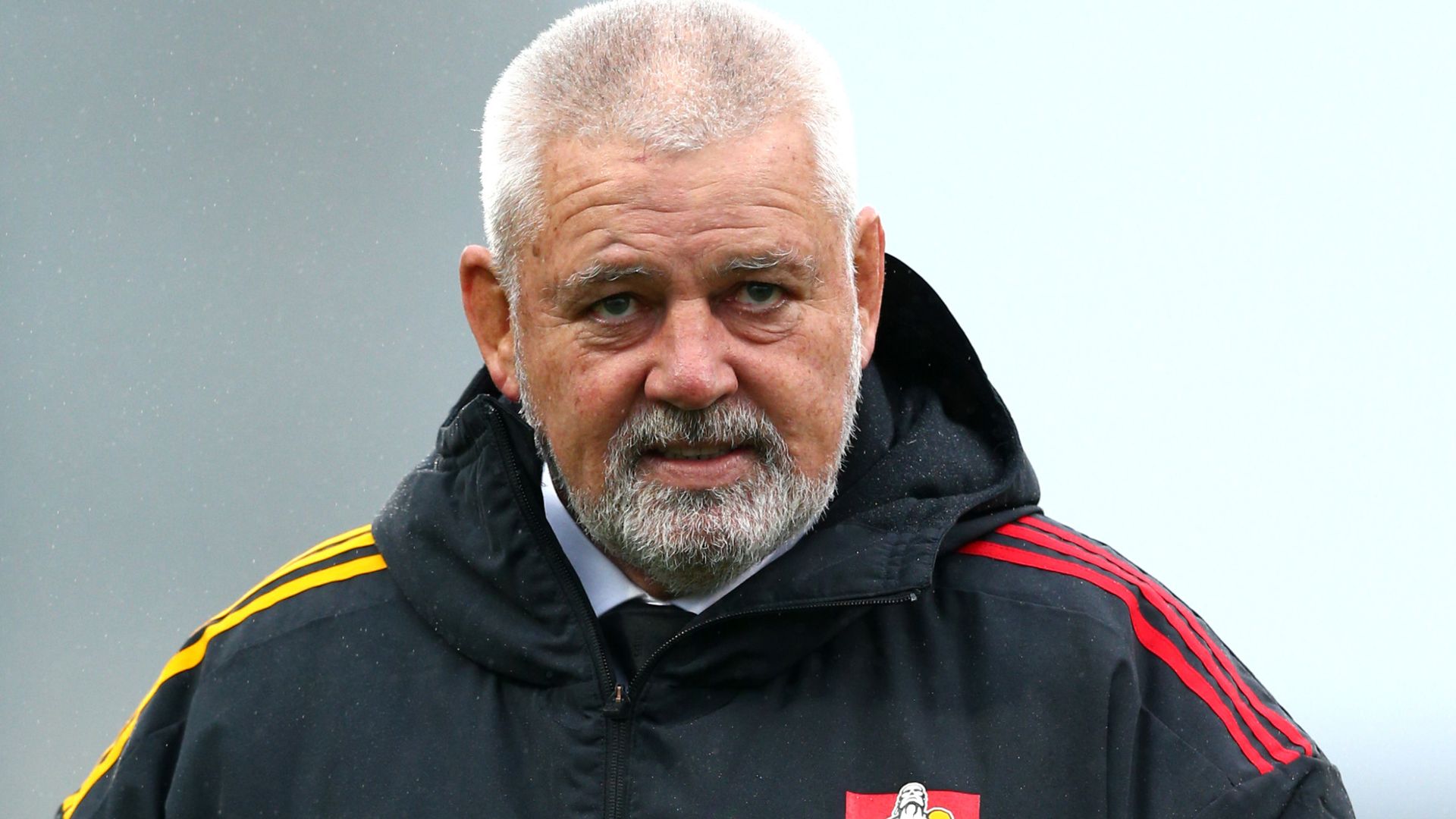 Gatland urges Premiership to release Lions players