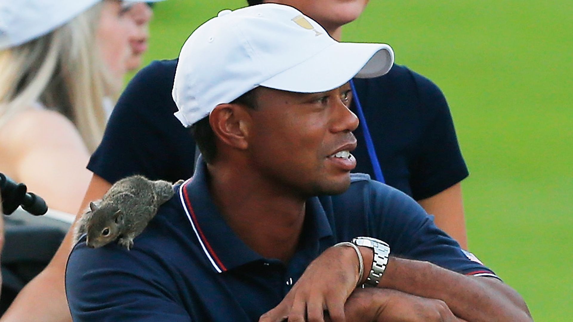 Golf's funniest animal encounters
