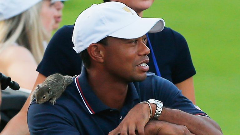 Woods' squirrel surprise came at the 2013 Presidents Cup 