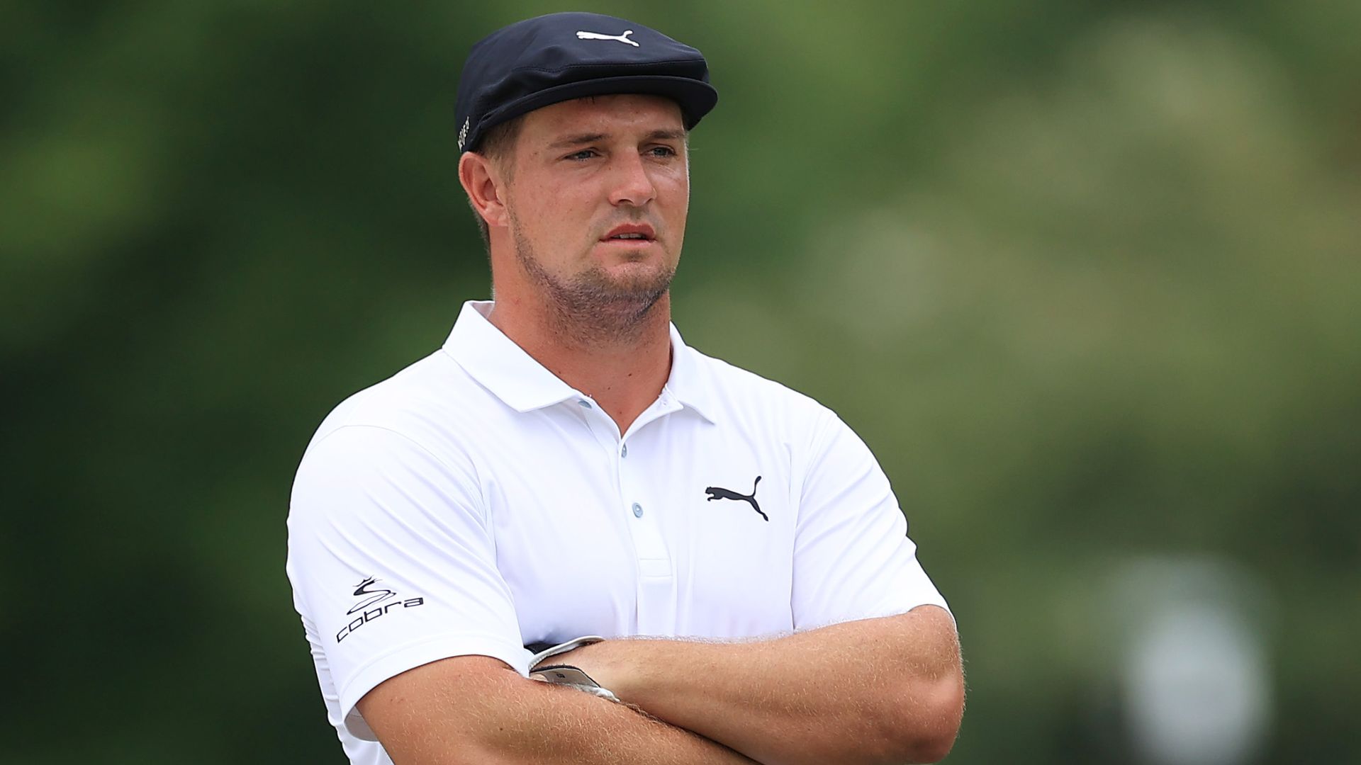 DeChambeau and the anthill