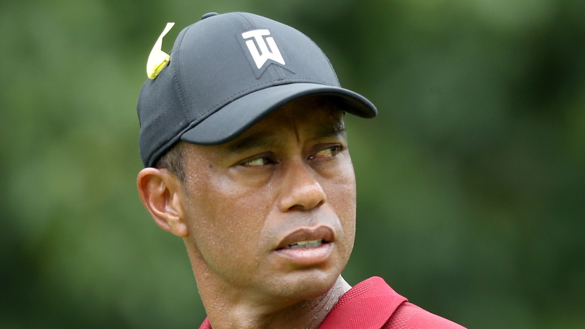 Woods to sit out of WGC