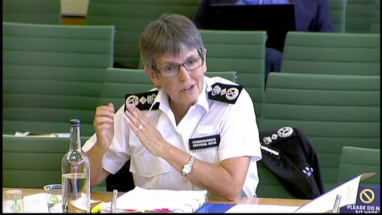Metropolitan Police Commissioner Dame Cressida Dick tells MPs about the apology and says lessons could be learned