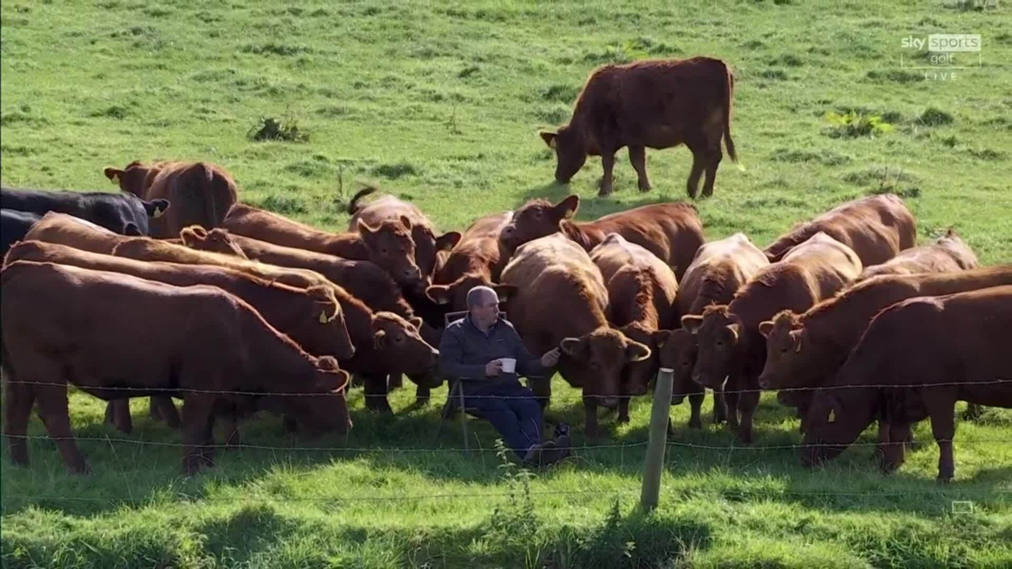 Farmer watching outlet golf