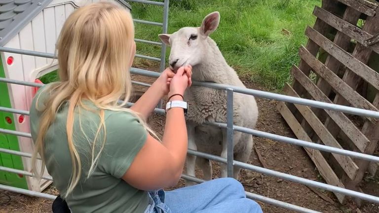 Samantha has been training hard for athletics and her sheep rearing!