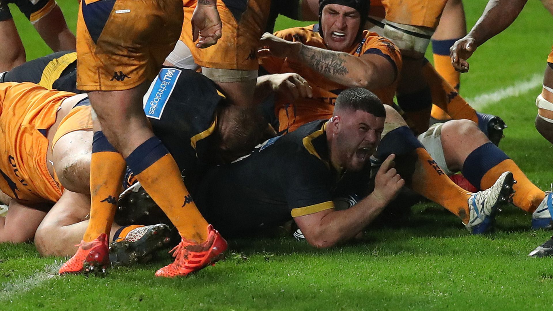 Barbeary scores twice in Wasps' bonus-point win