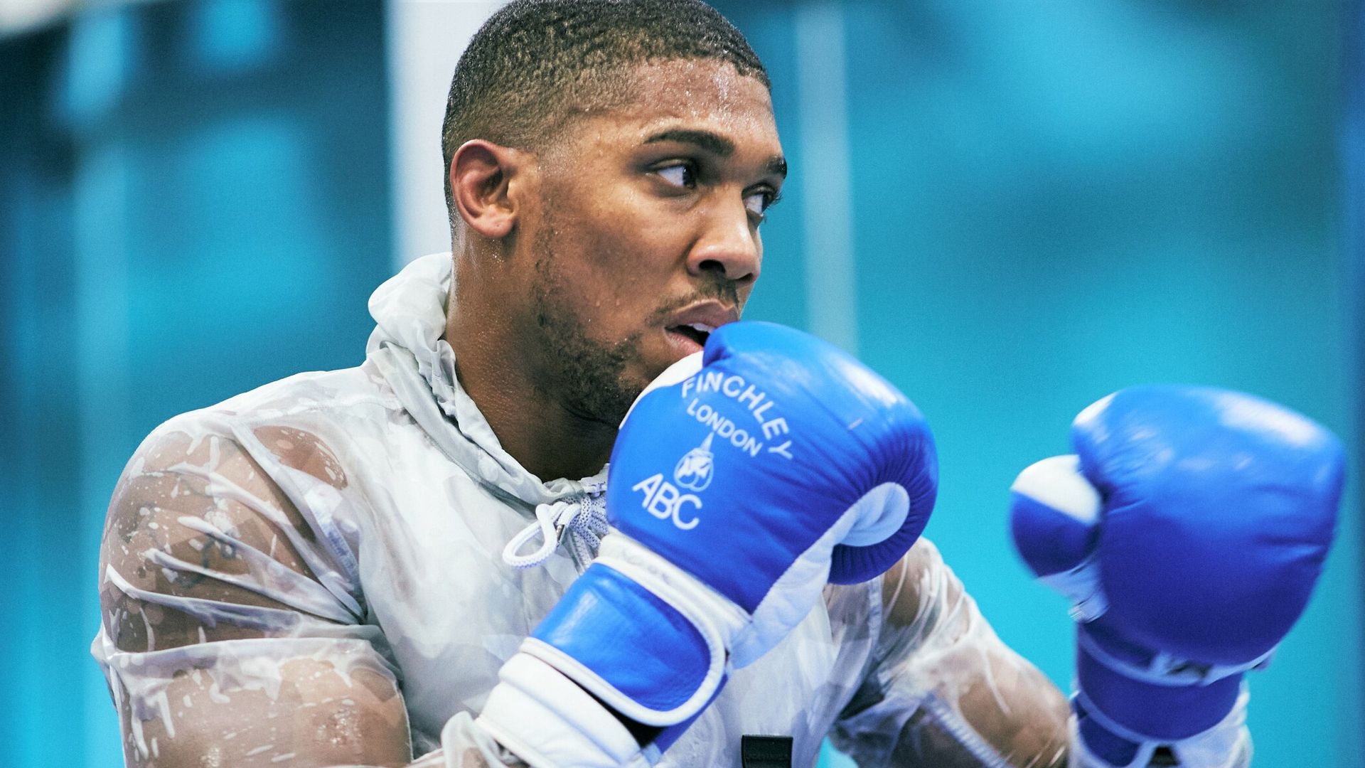 Revealed: How to pick Joshua's sparring partners