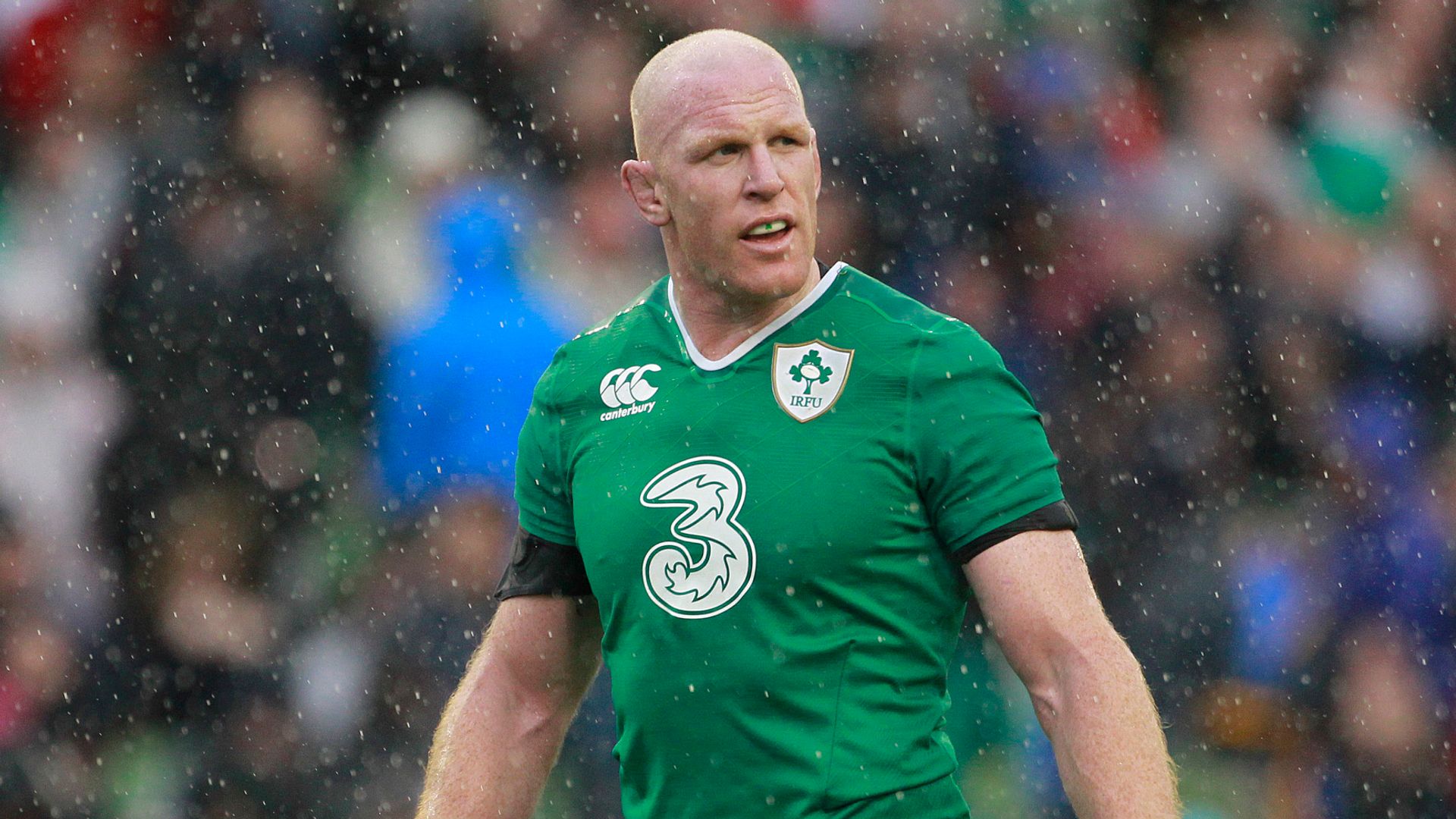 O'Connell appointed Ireland forwards coach