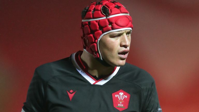 James Botham made his Wales debut against Georgia last November