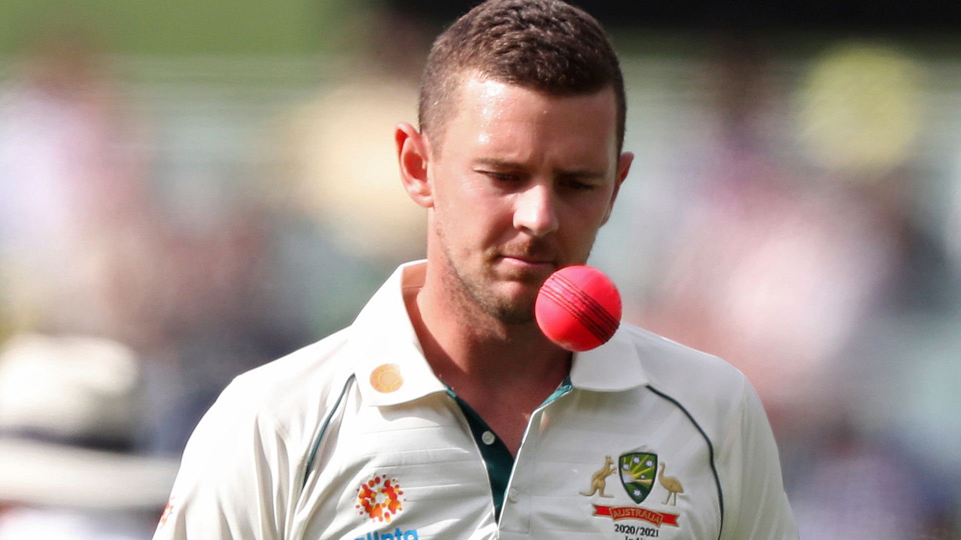 Hazlewood opts out of IPL to rest up for Ashes