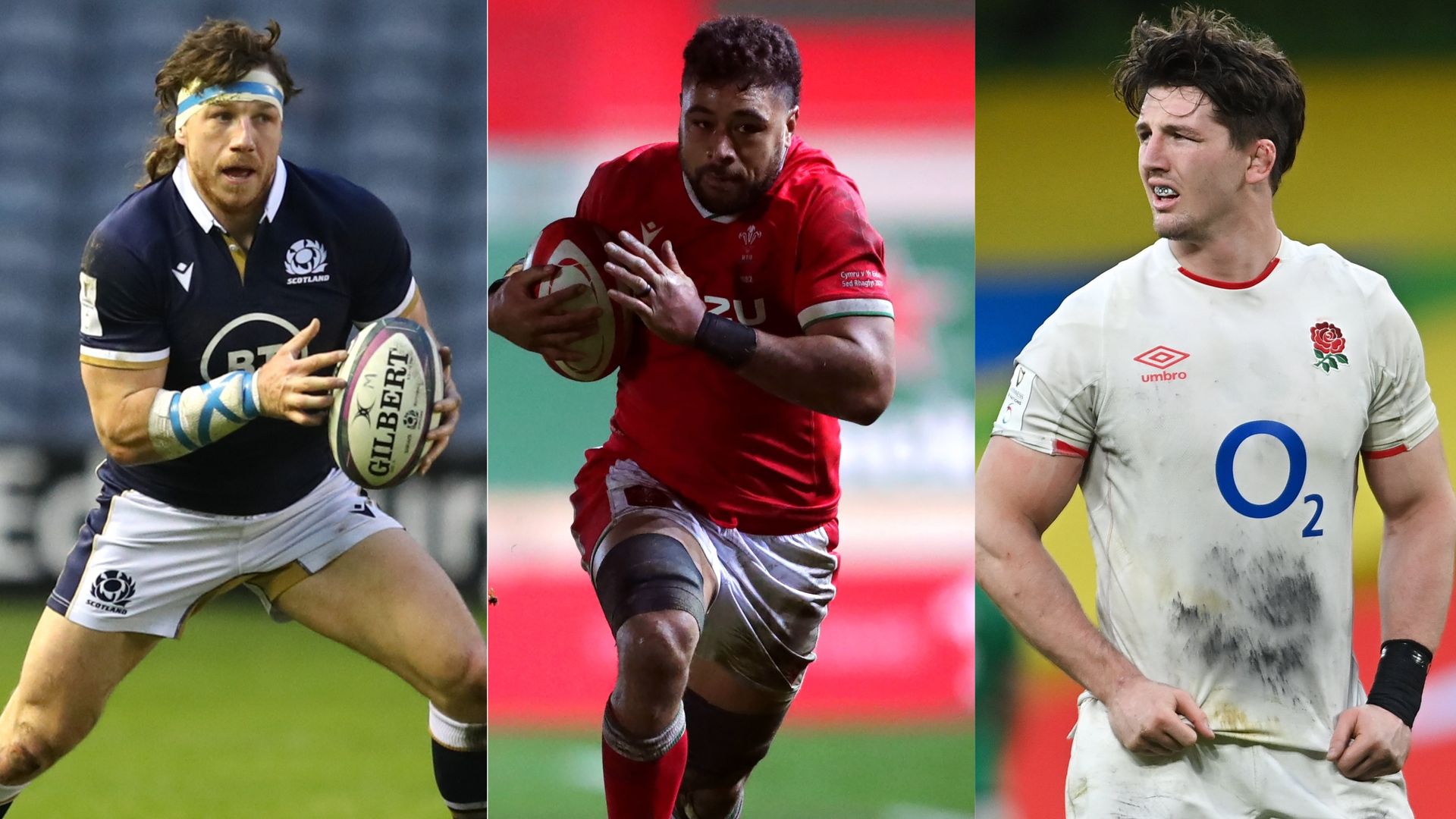 British & Irish Lions contenders: Back-row