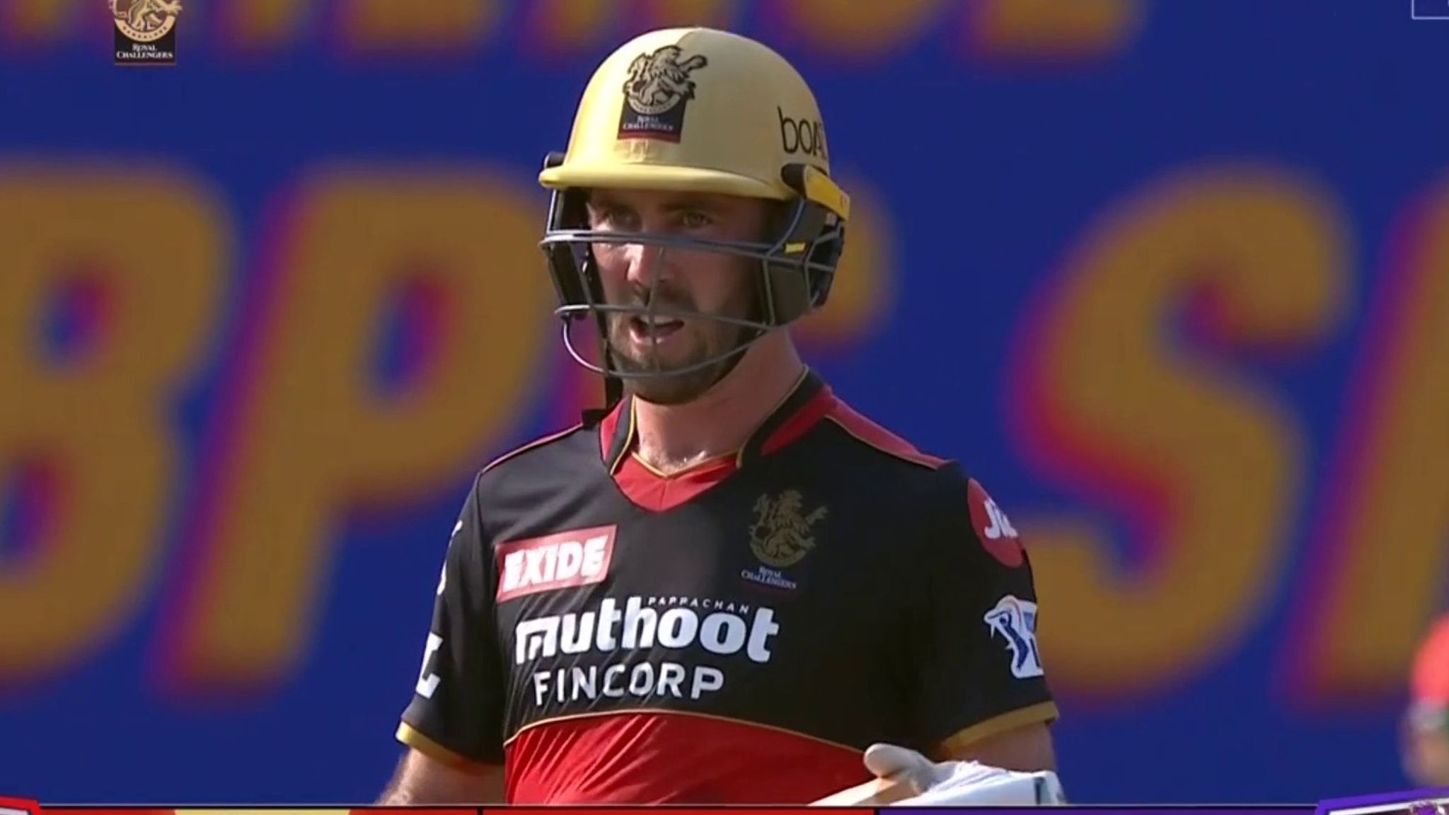 ipl 221