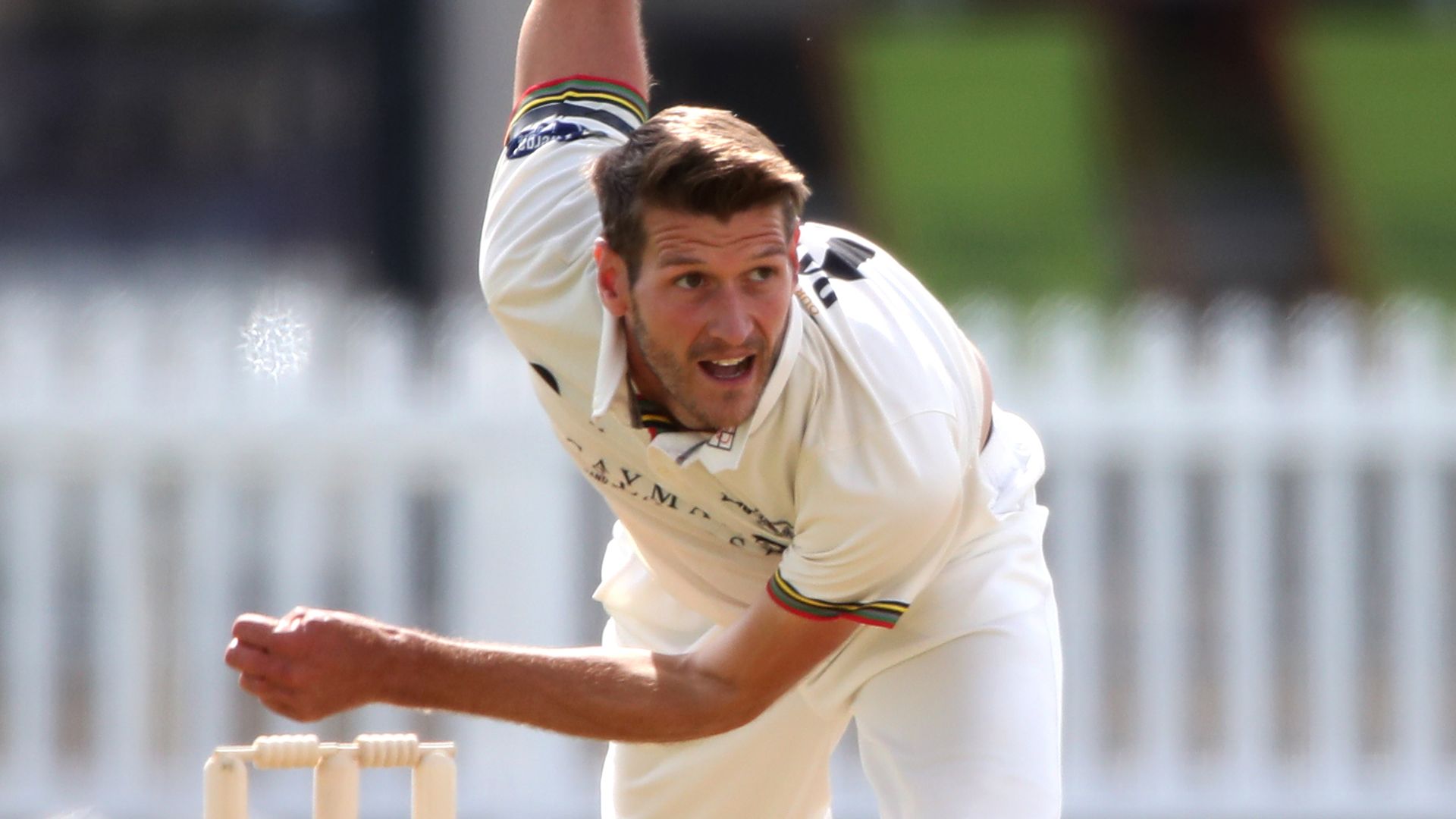 Payne takes 11 as Gloucestershire hammer Middlesex