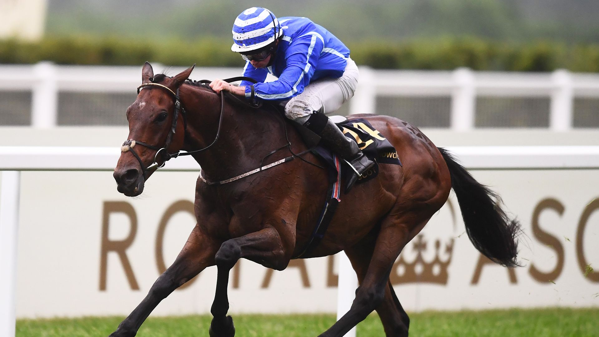Stratum shines in Royal Ascot finale
