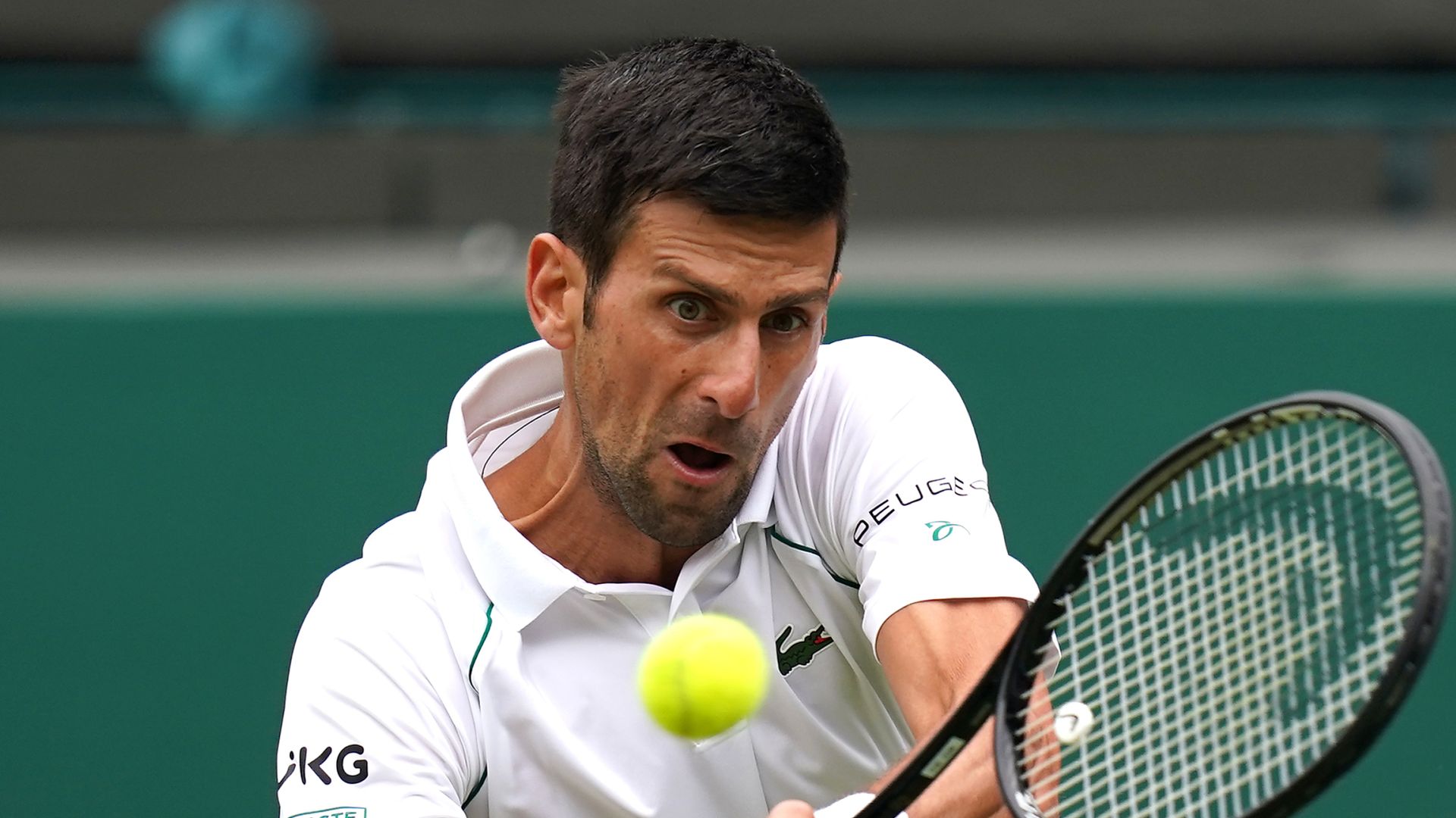 Djokovic duelling with Shapovalov | Berrettini faces Hurkacz