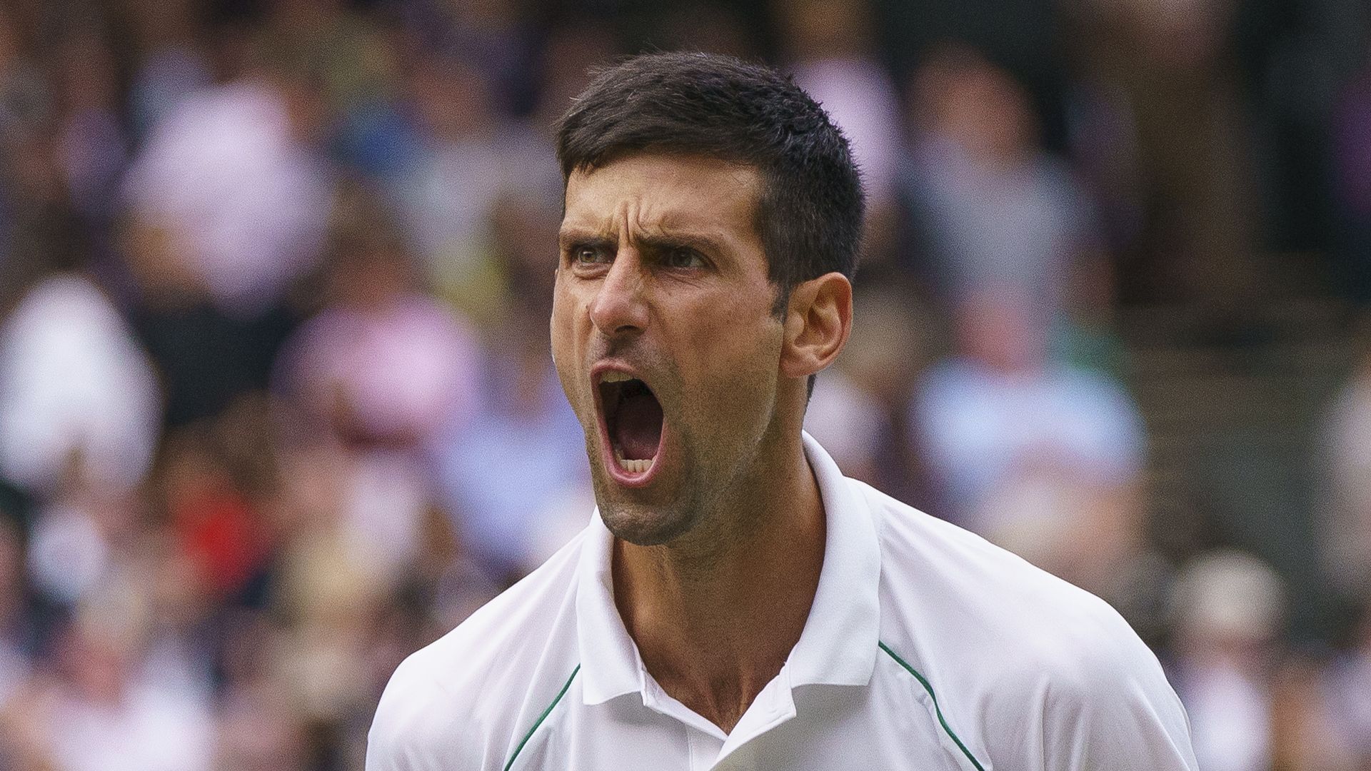 Djokovic bids for 20th Slam title, Berrettini stands in his way