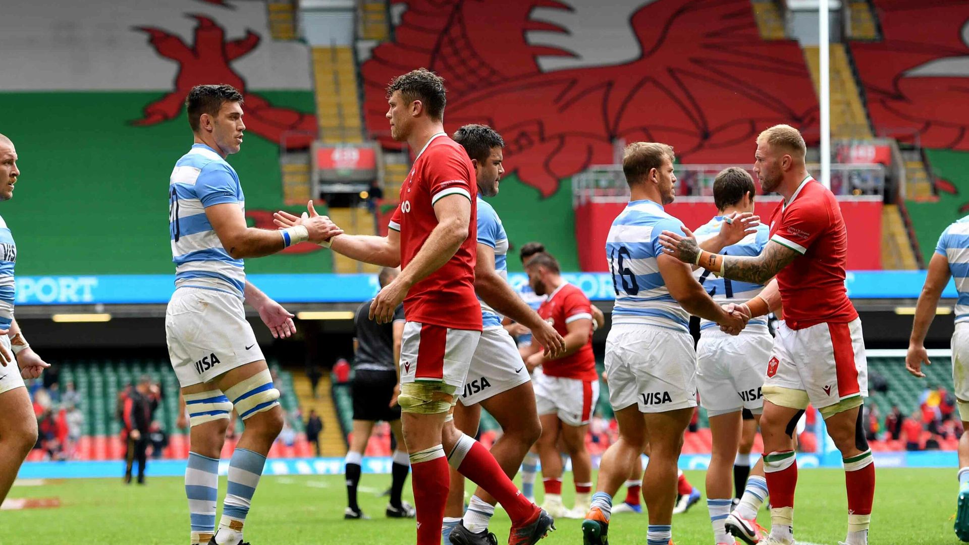 Wales draw with Pumas; Ireland hammer USA