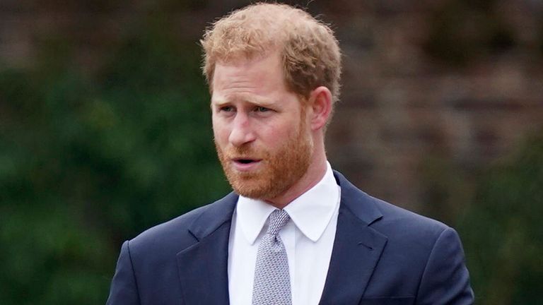 Prince Harry is backing the WeThe15 campaign