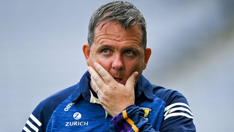 Davy Fitzgerald has been linked with managing the Galway senior hurlers
