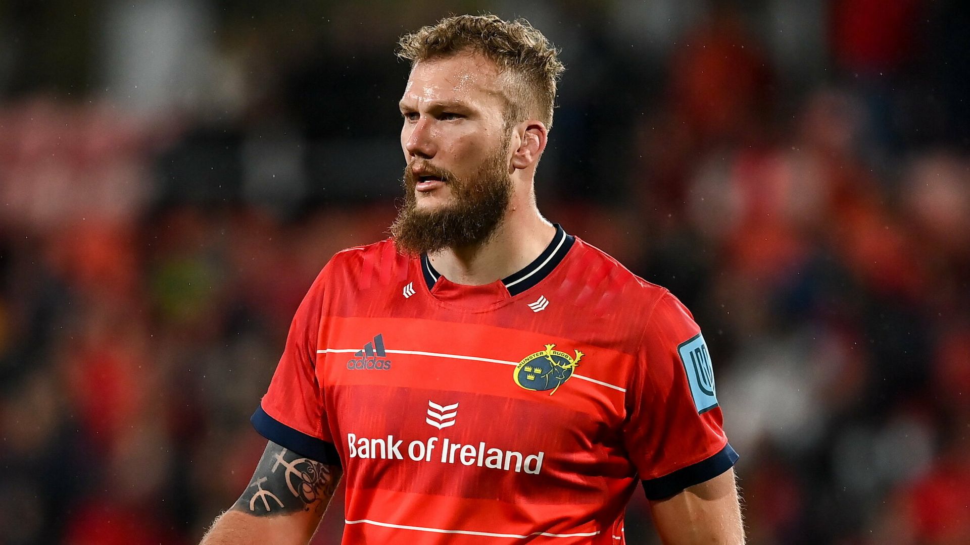 Munster and SA lock Snyman re-ruptures ACL