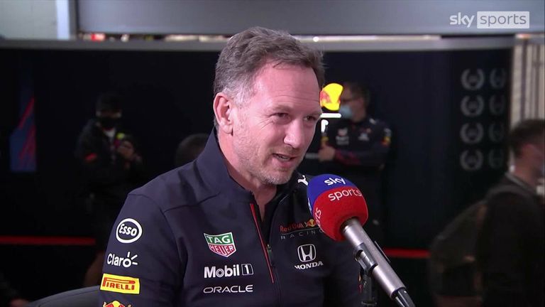 Christian Horner says Lewis Hamilton's pace is 'no great surprise' after he came from the back of the grid to fifth in the Sao Paulo Sprint race