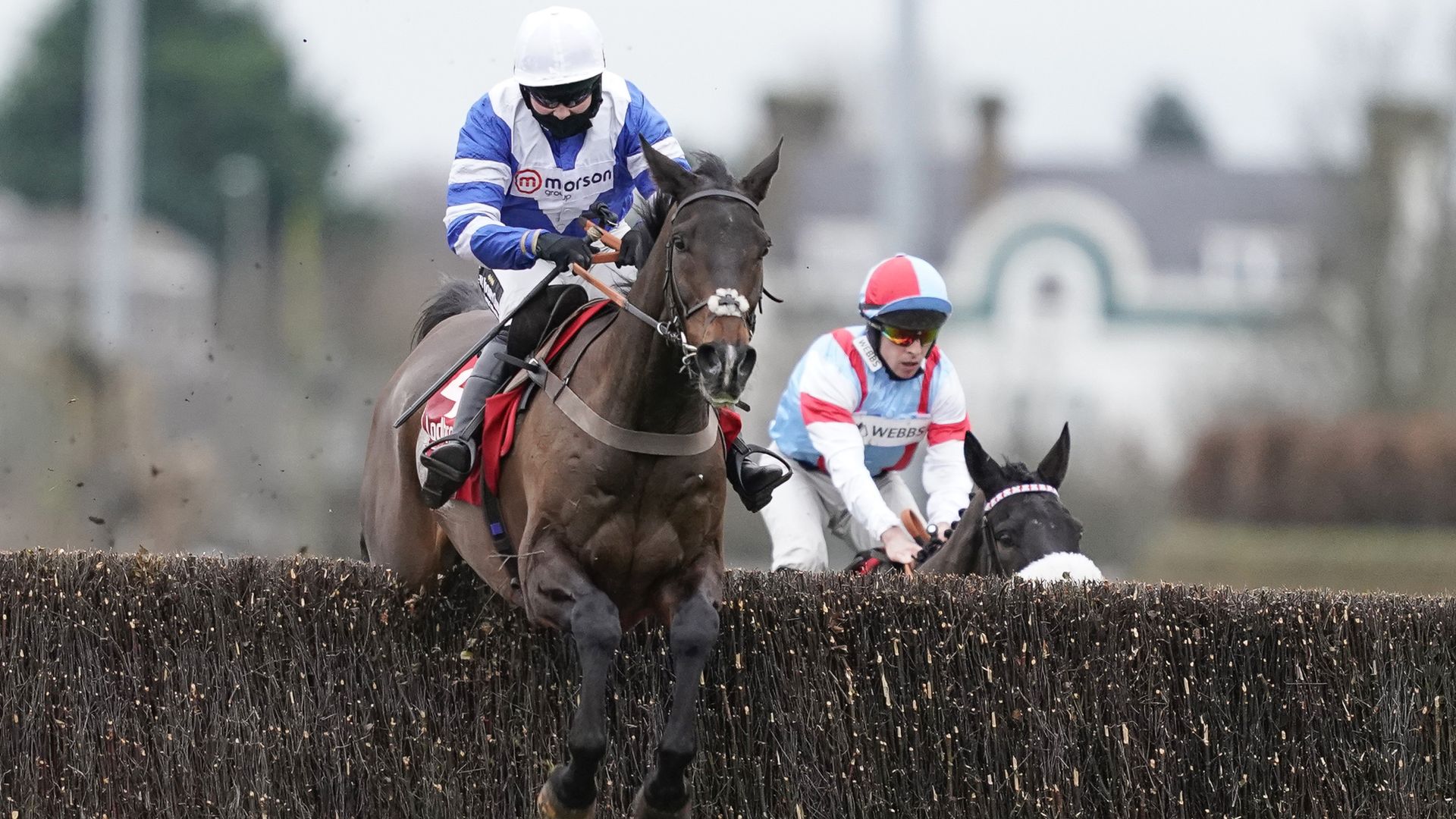 Former King George star Frodon retired from racing