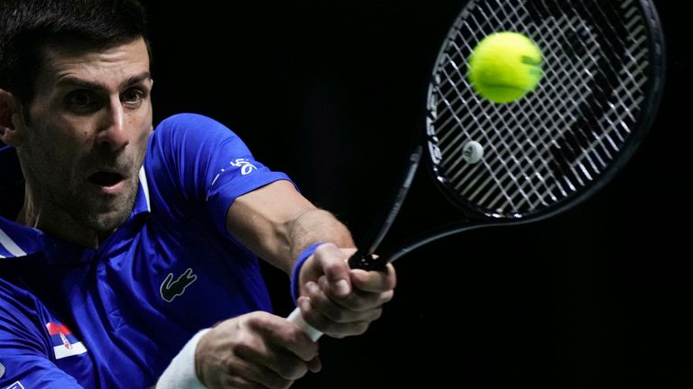 Novak Djokovic had beaten Croatia's Marin Cilic to give Serbia hope in their Davis Cup semi-final encounter