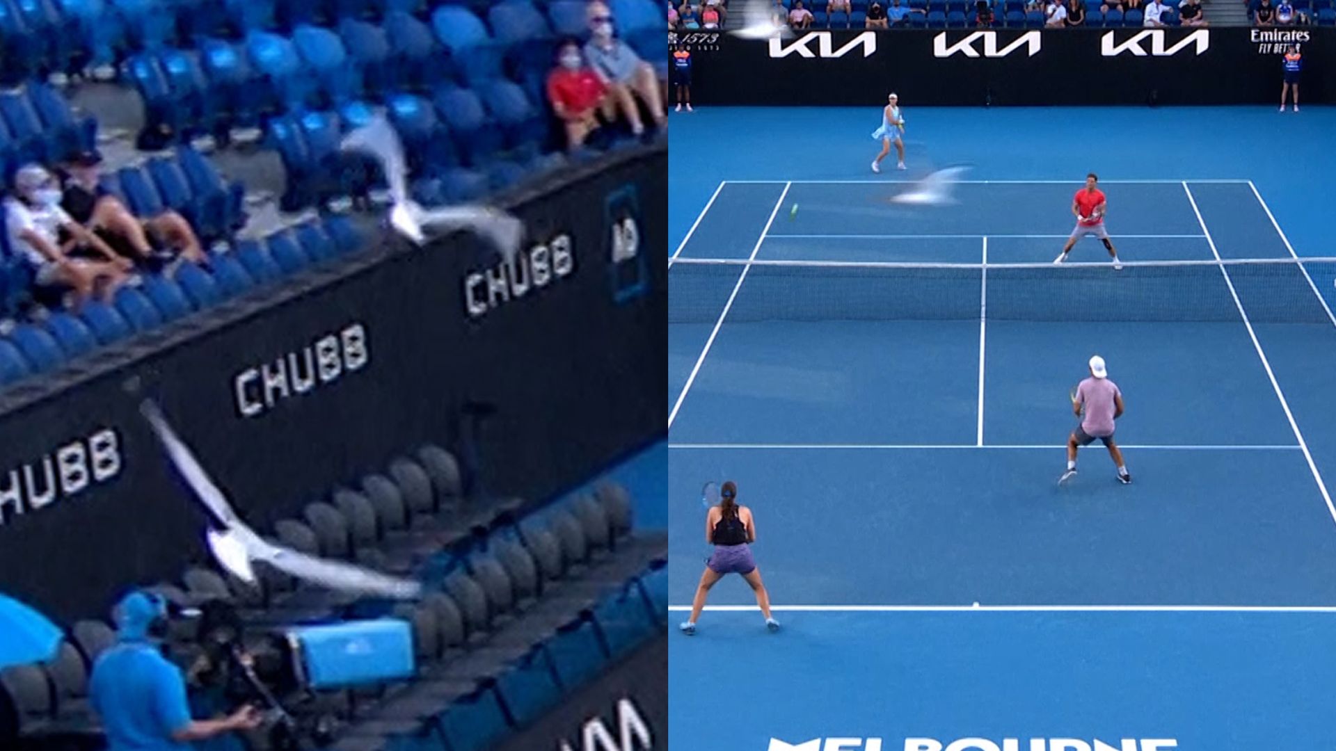Seagulls stop play at Australian Open!