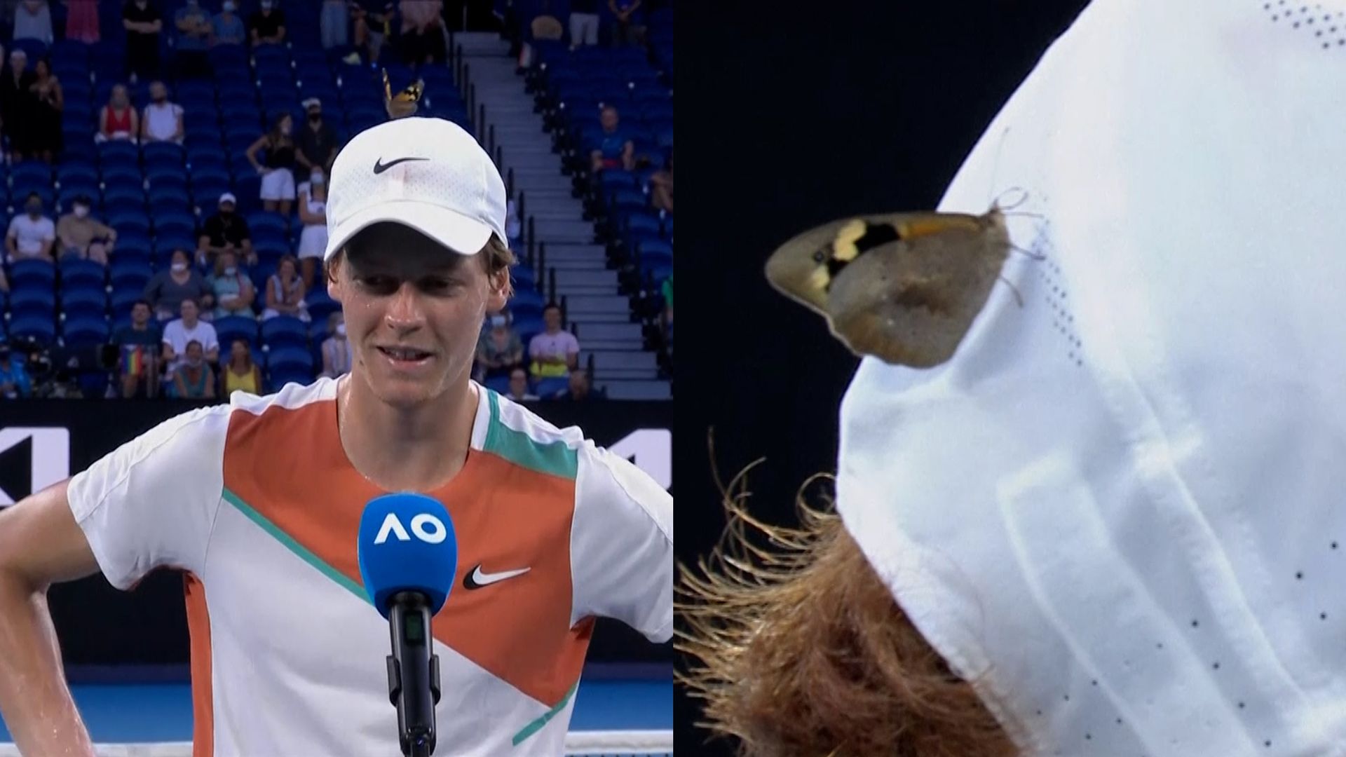 Sinner's interview interrupted by butterfly!
