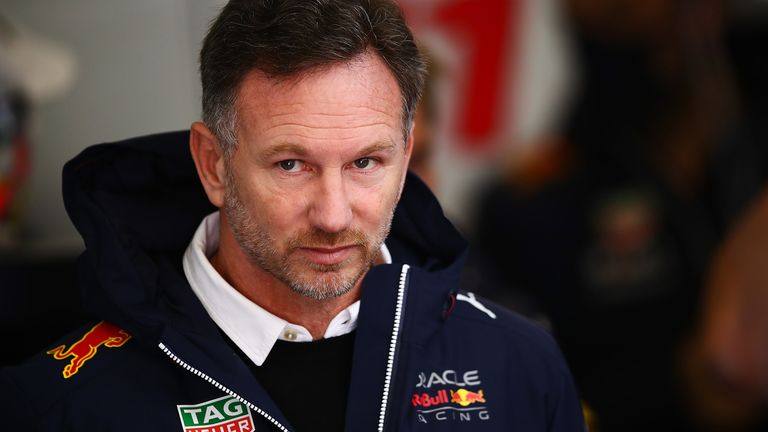 Christian Horner said he was disappointed by the lack of support offered to Michael Masi