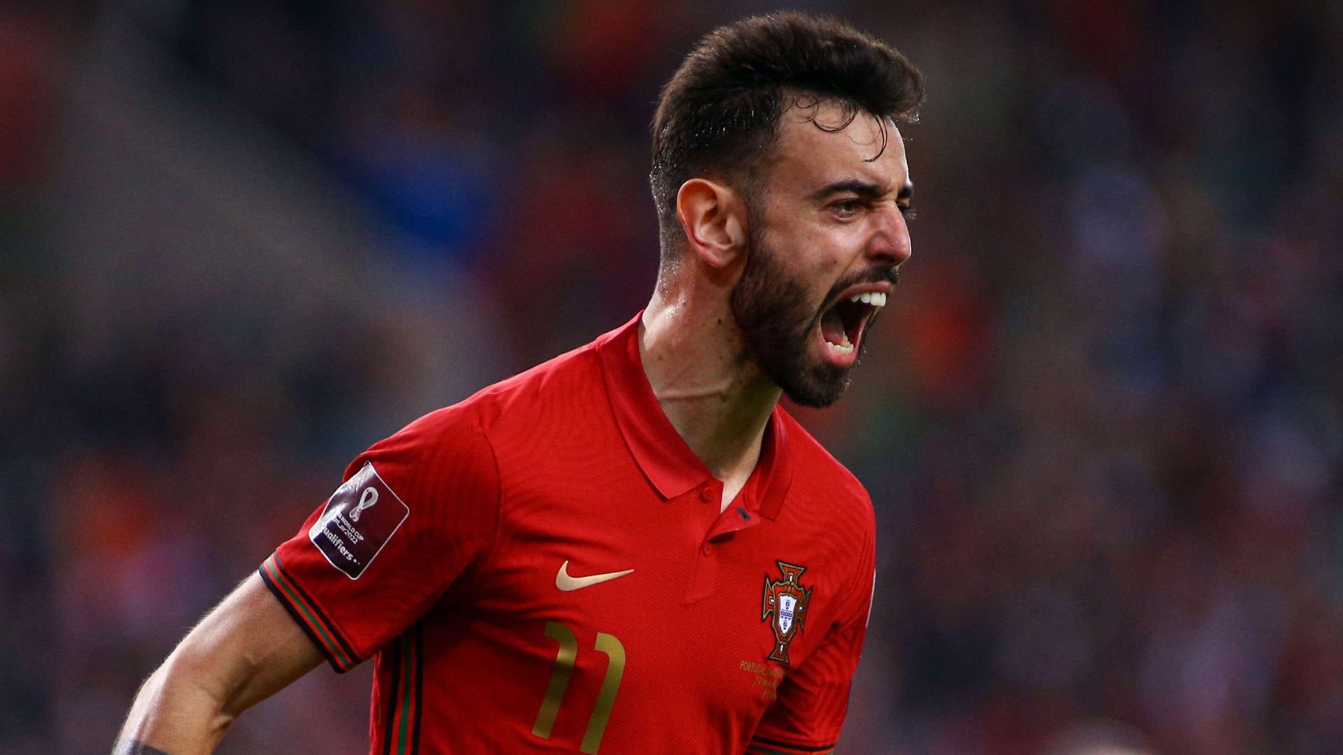 Fernandes double sends Portugal to World Cup