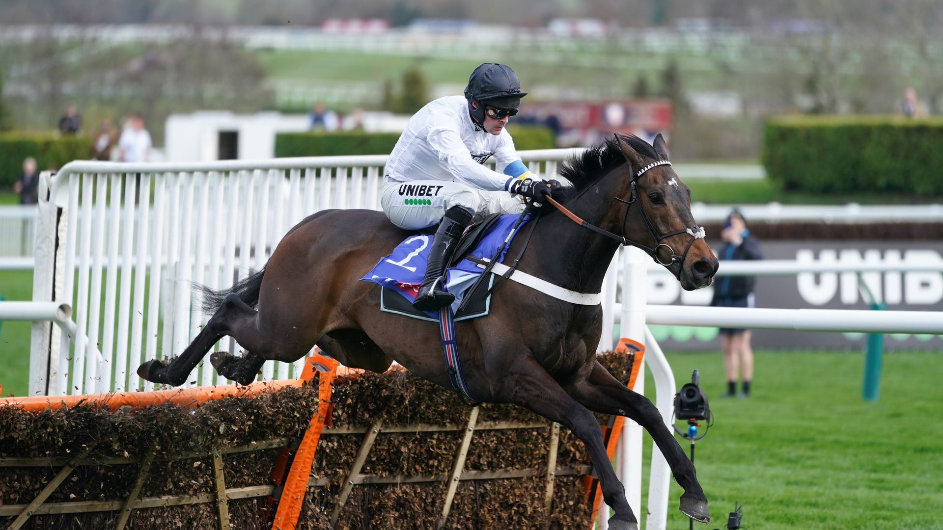 'He's a freak' - Constitution Hill flies home in Fighting Fifth