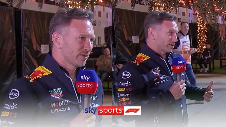 Red Bull boss Christian Horner says it was a 'brutal finish' after both Red Bulls were forced to retire in the final laps of the Bahrain Grand Prix.