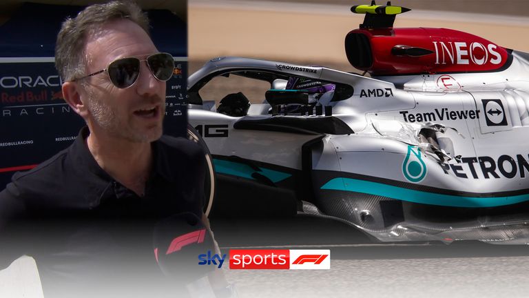 Red Bull boss Christian Horner was initially tight-lipped on the issue of Mercedes' radical 'bridge-less' design on their new car
