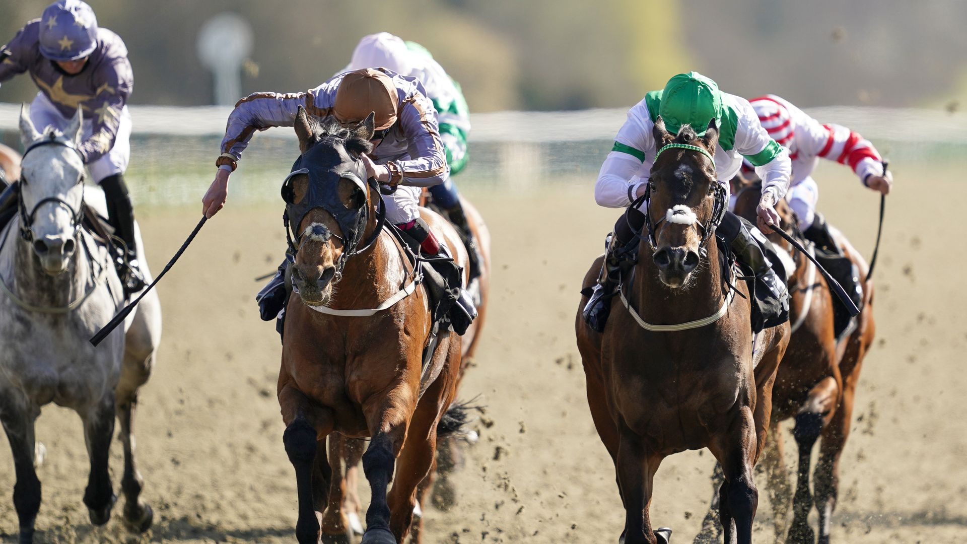 Summerghand, Sir Busker add stardust to Saturday action at Lingfield